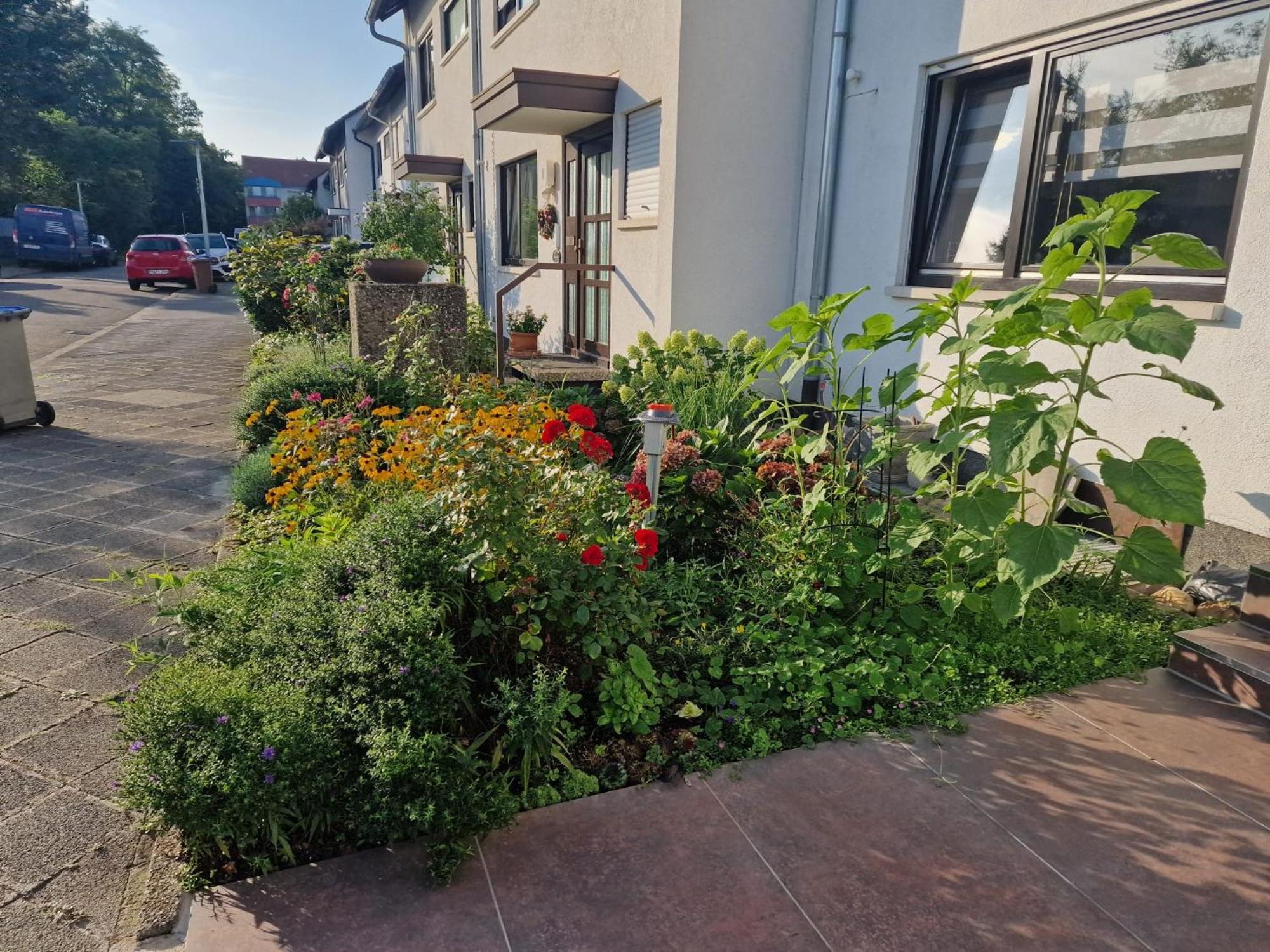 A Special In A Private German Style Homestay